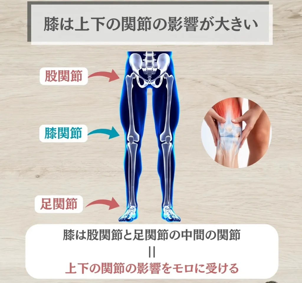 膝は上下の関節の影響が大きい