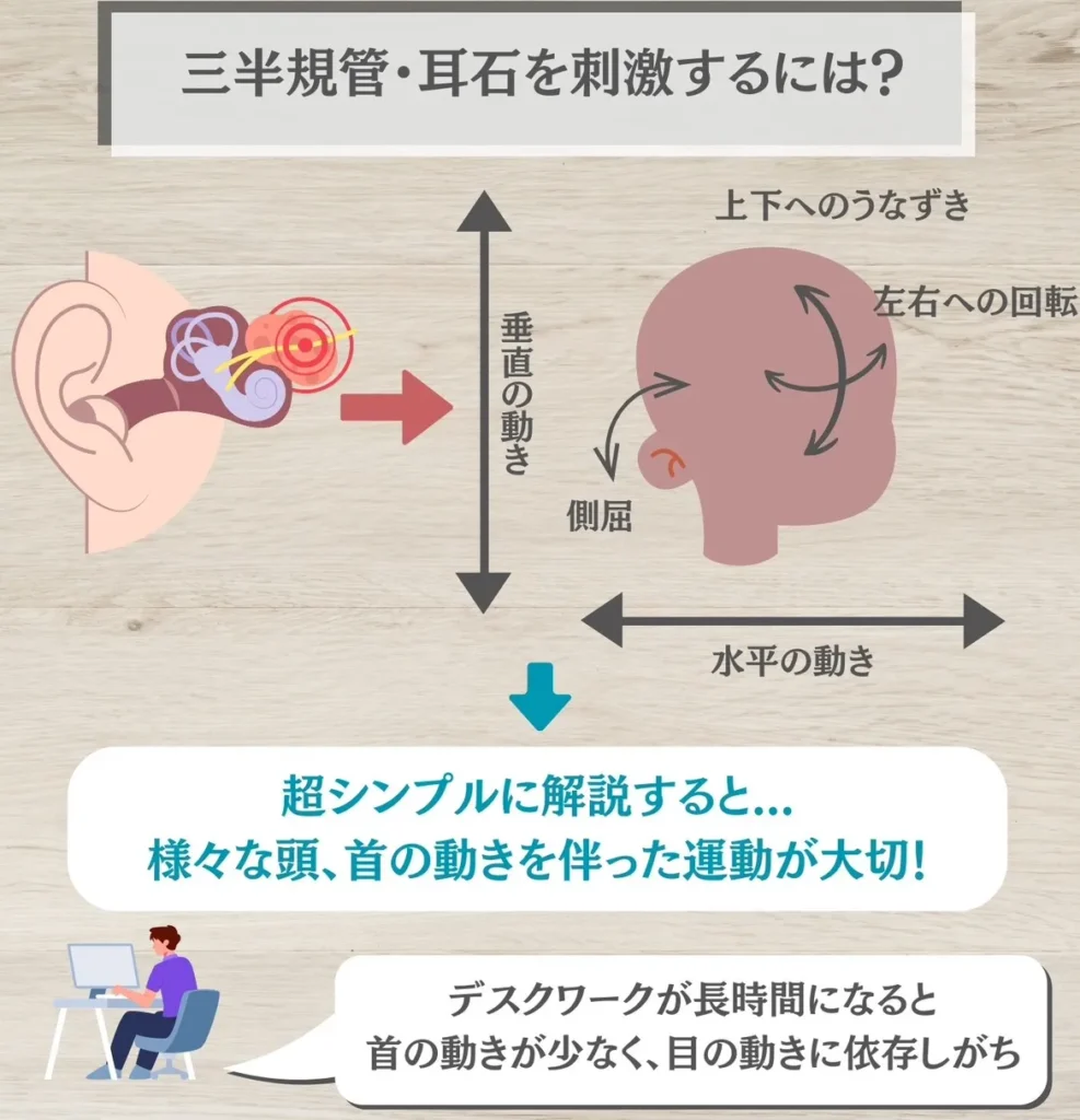 三半規管・耳石器を刺激するには？