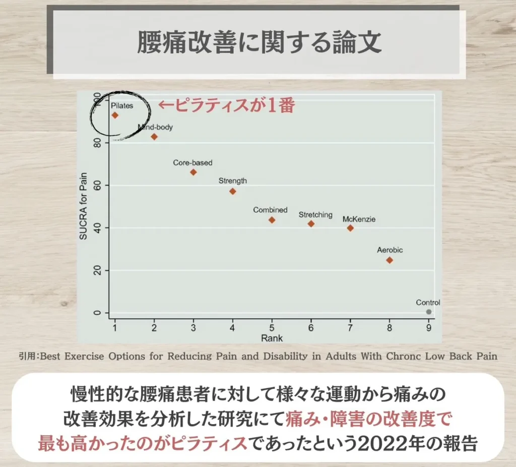 腰痛改善に関する論文