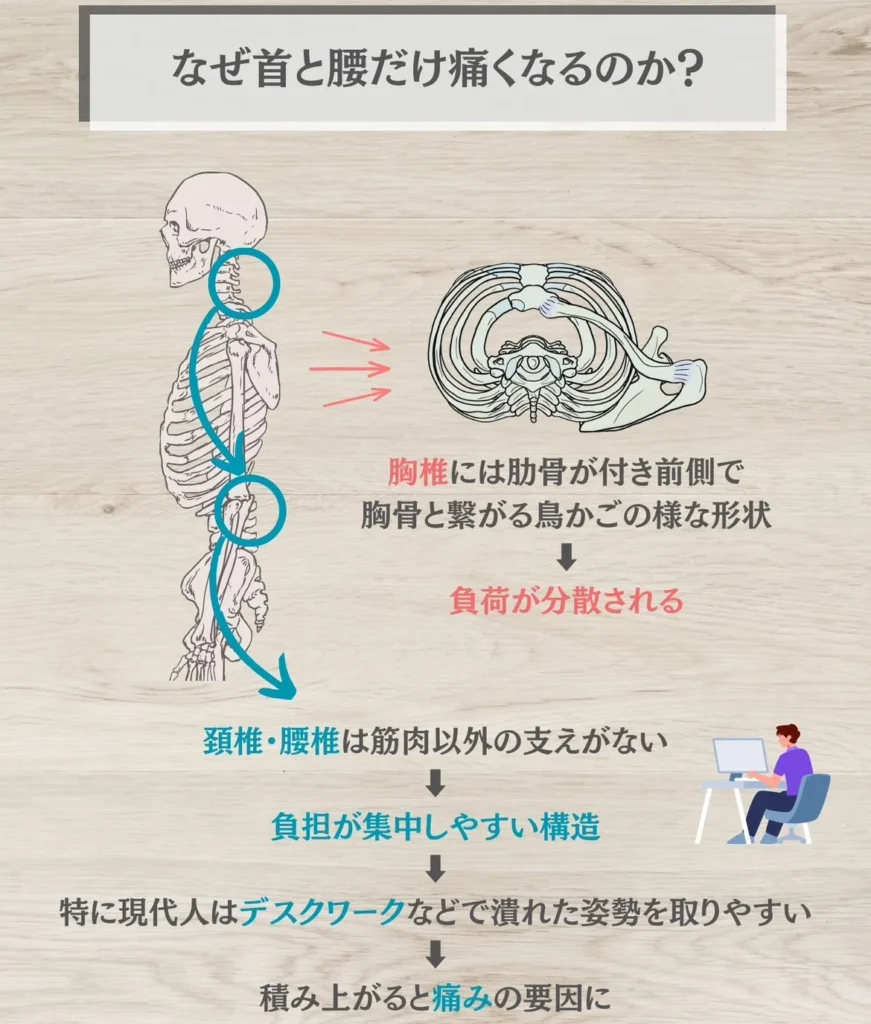 なぜ首と腰だけ痛くなるのか？