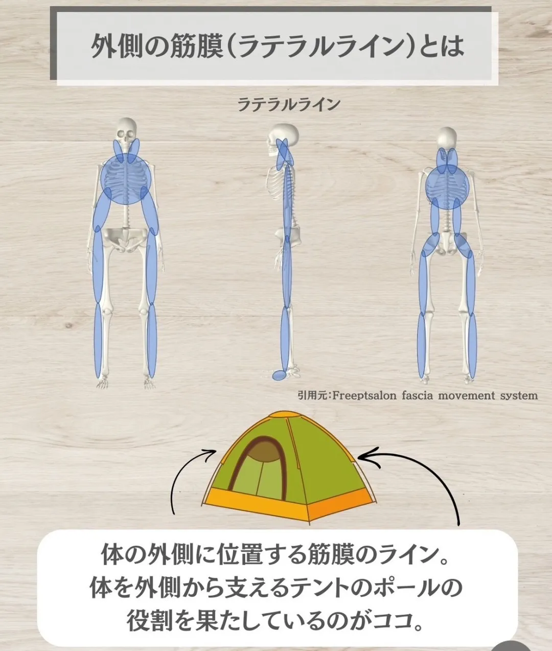 外側の筋膜（ラテラルライン）とは