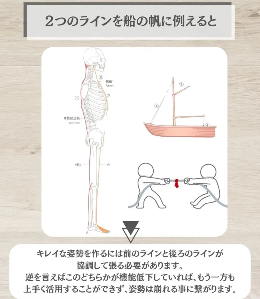 SBL・SFLを船に例えると