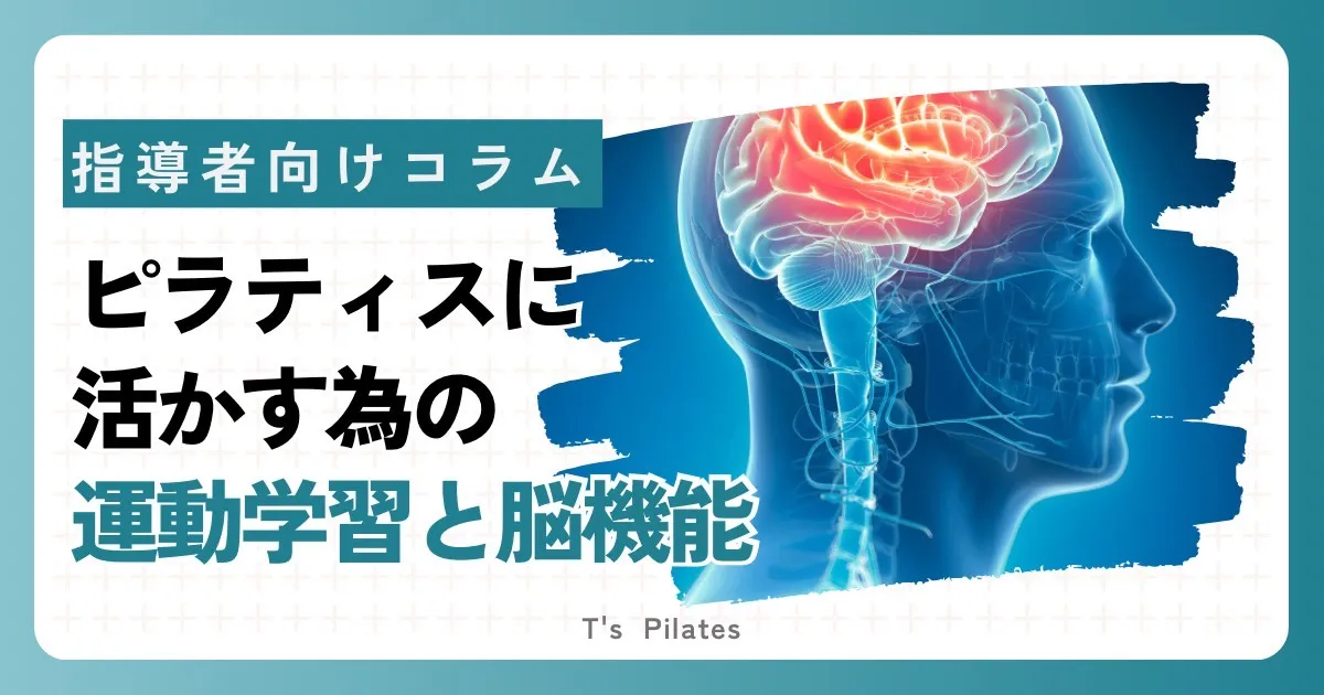 ピラティスに活かす為の運動学習と脳機能