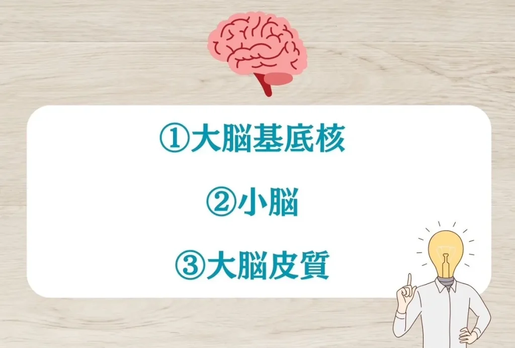 運動学習に必要な3つのシステム