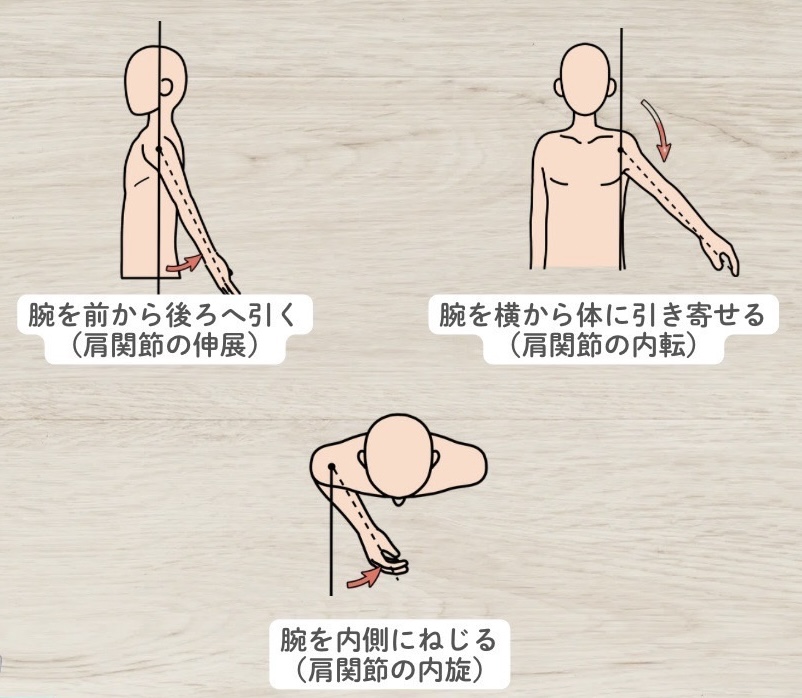 広背筋の作用