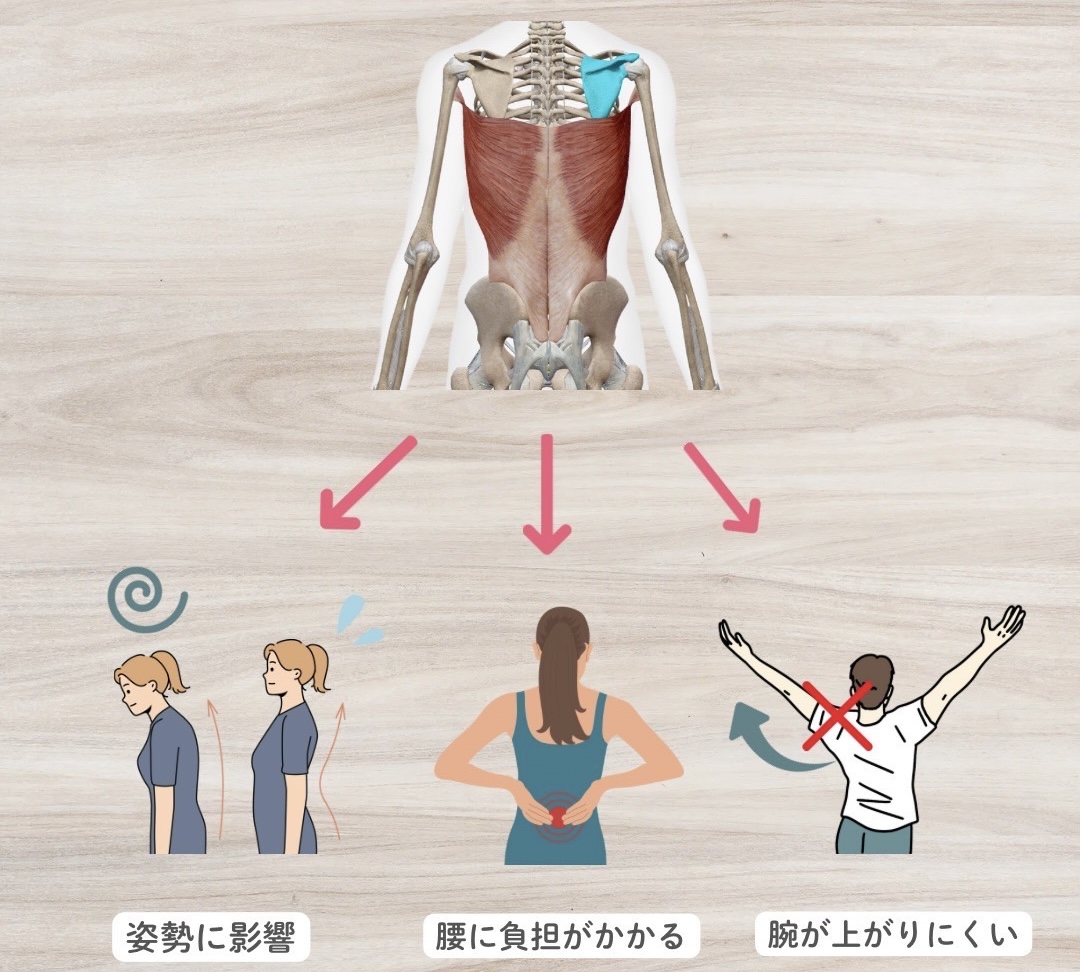 広背筋が硬いと