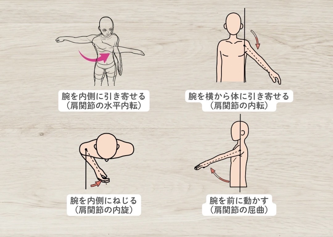 大胸筋の作用