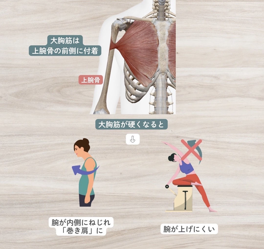 大胸筋が硬いと