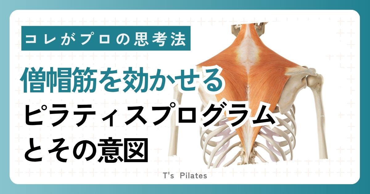 僧帽筋を効かせるプログラム