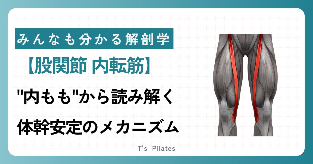 内転筋サムネイル