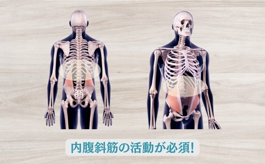 後縦隔を広げるには内腹斜筋がカギ