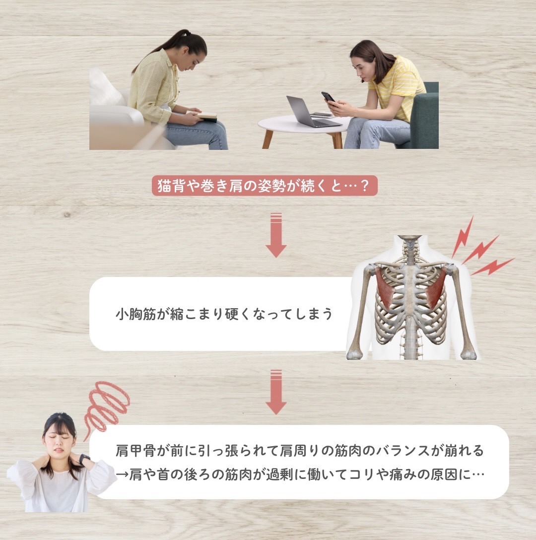 小胸筋と姿勢の関係性