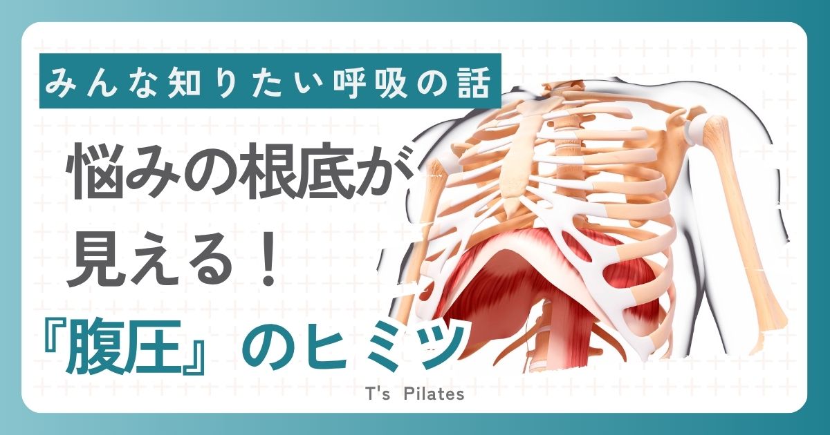 腹圧のヒミツ