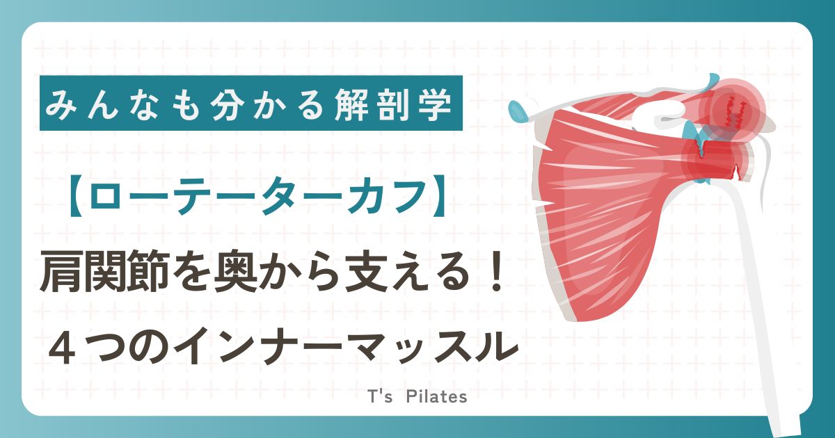ローテーターカフのサムネイル