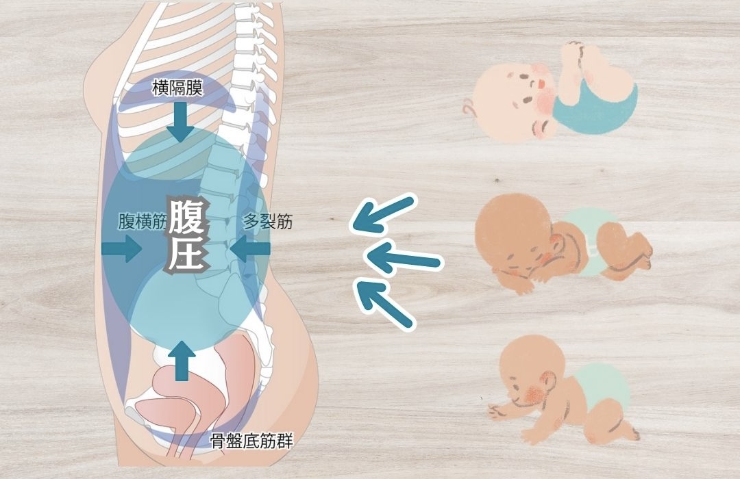 腹圧とは?