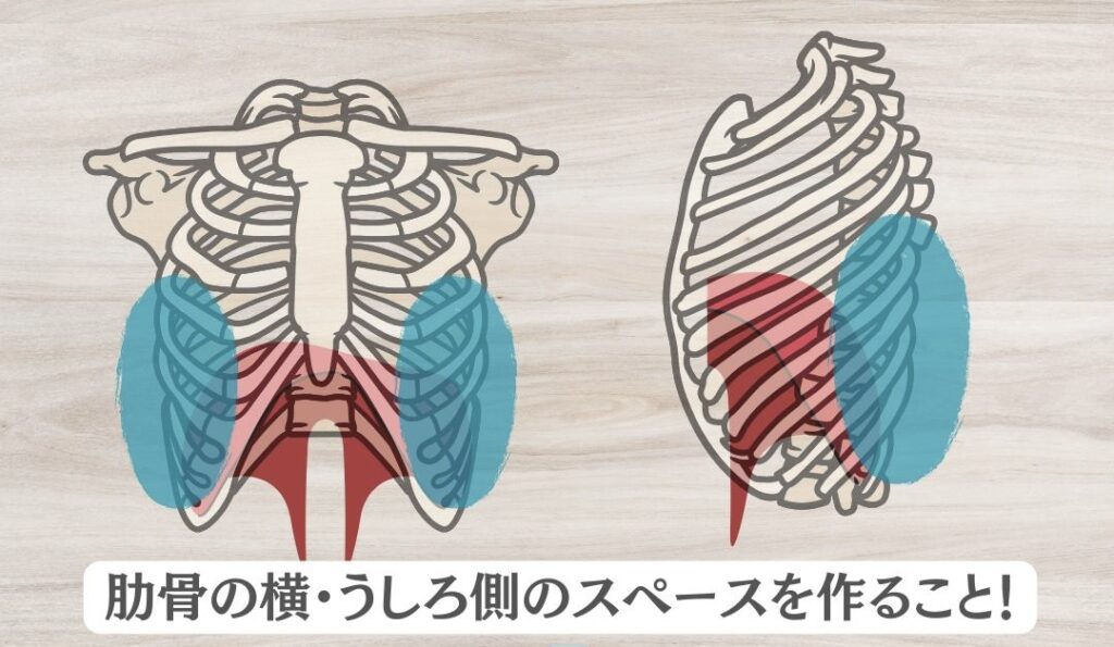 腹圧を入れるポイント