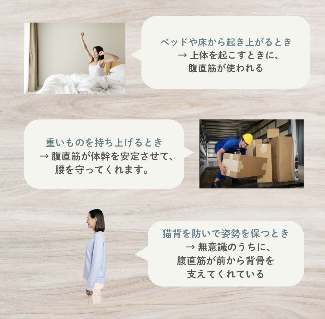 日常生活での腹直筋の活躍