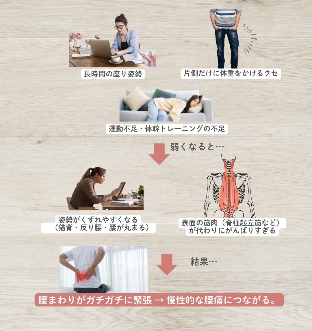 腰方形筋は機能低下を起こしやすい？