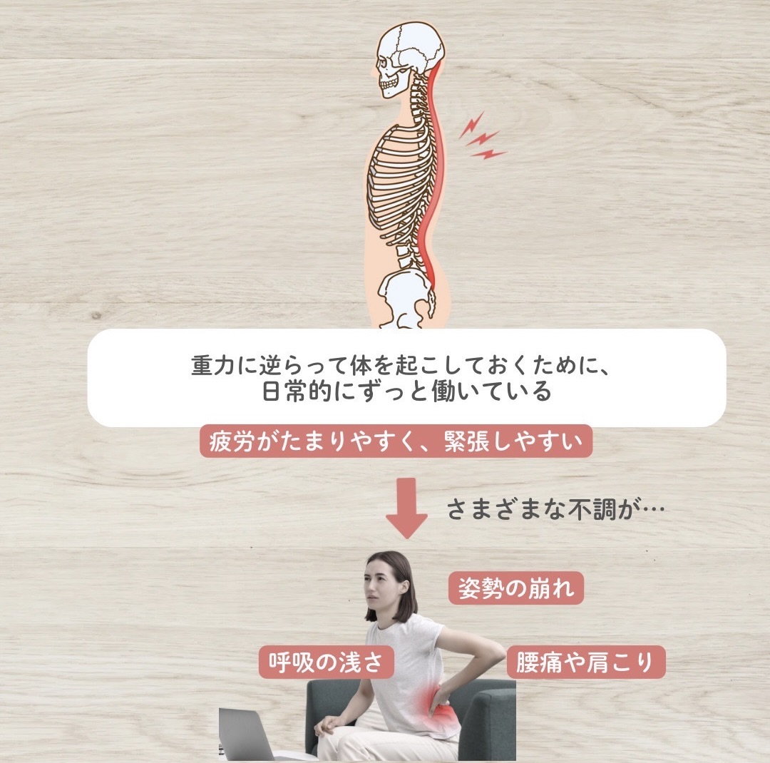脊柱起立筋の過緊張による不調