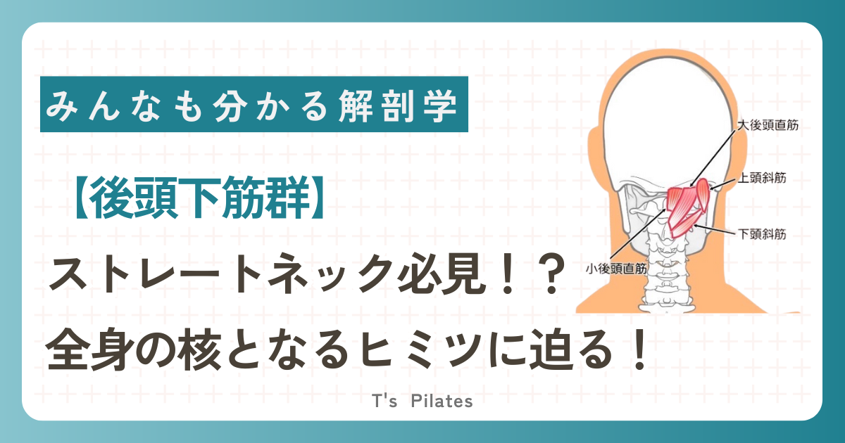後頭下筋群サムネイル