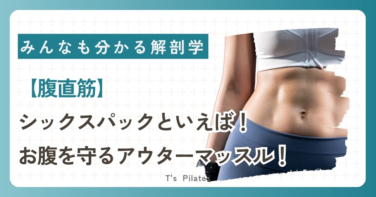 腹直筋サムネイル