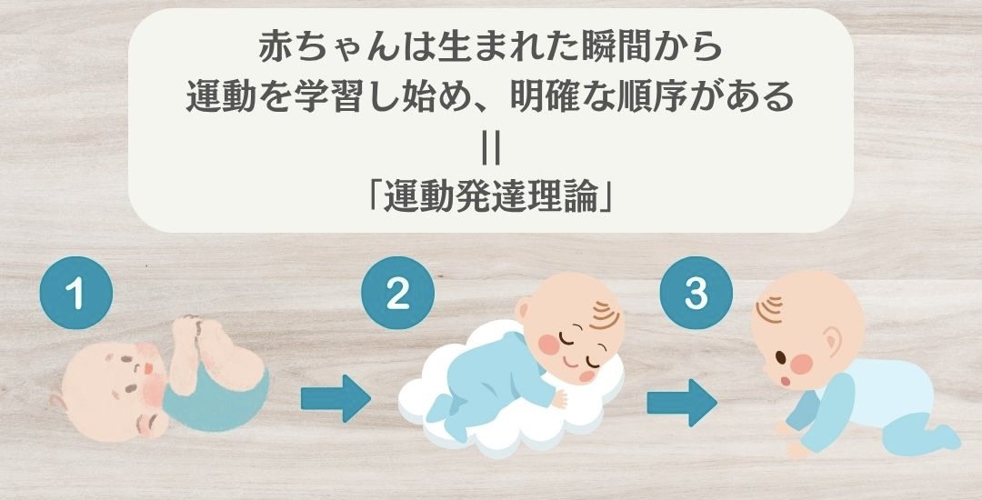 運動発達理論