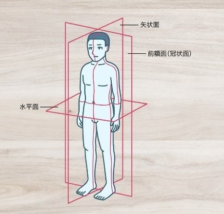 3つの運動面