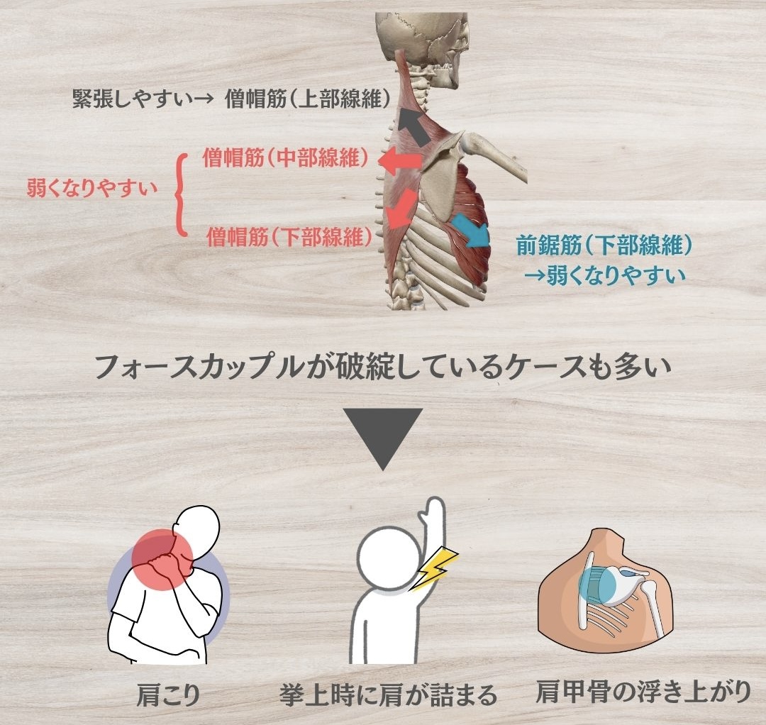 フォースカップルが乱れる原因