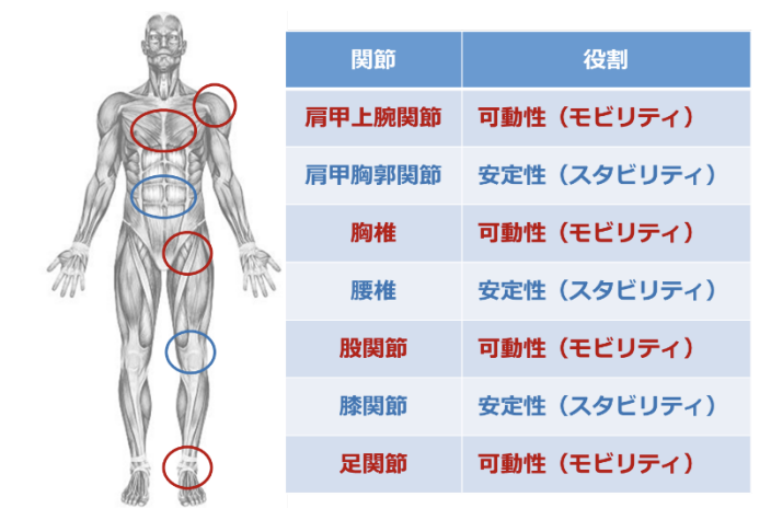 Joint by joint理論