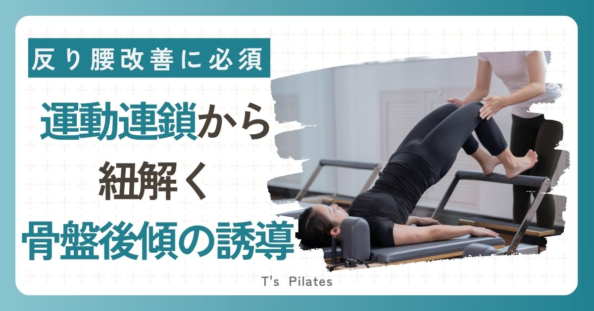 運動連鎖から紐解く骨盤後傾誘導