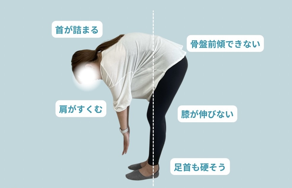 前屈評価