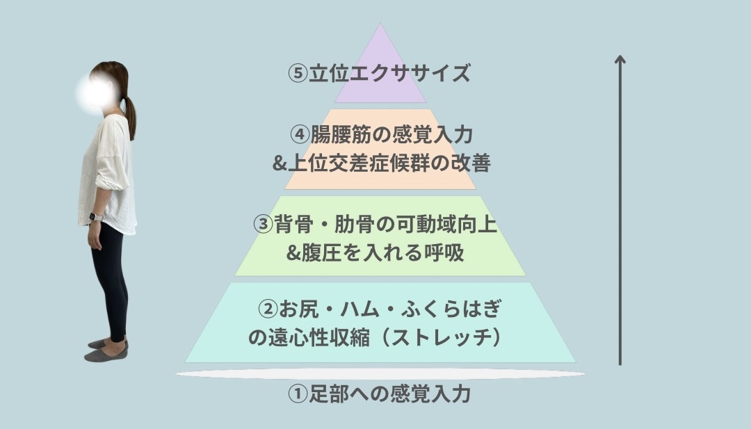 プログラム立案の意図