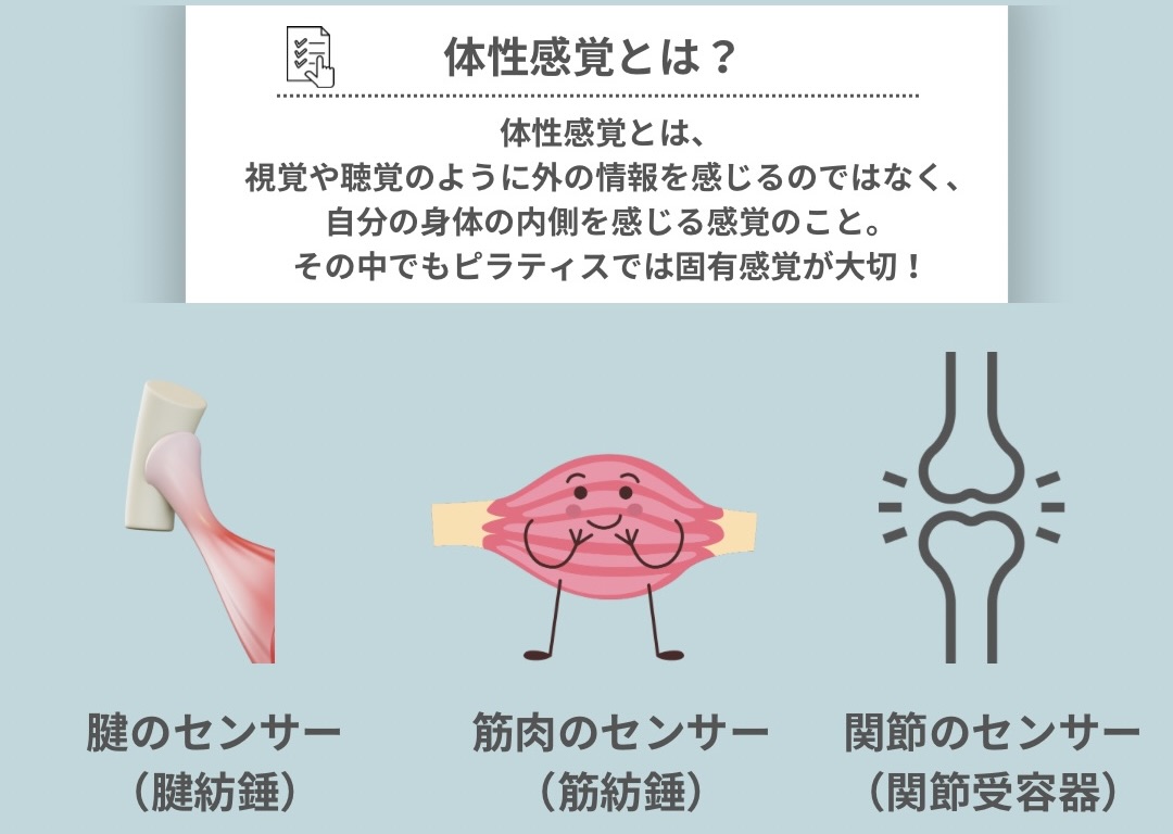 体性感覚とは？
