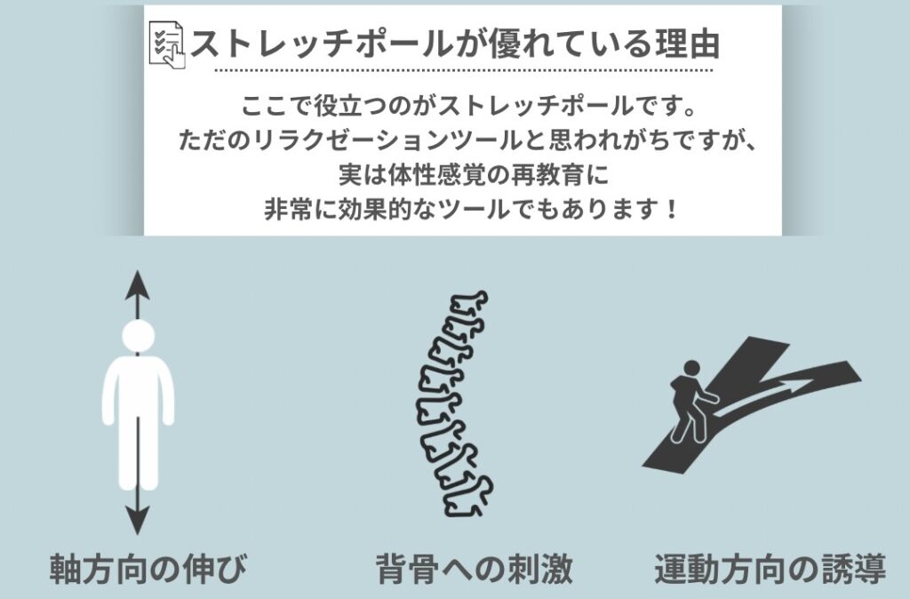 体性感覚入力にストレッチポールが優れている理由