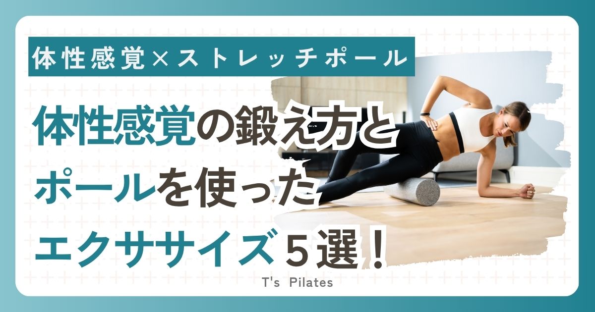 体性感覚×ストレッチポール