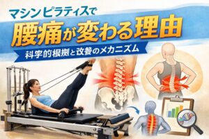 マシンピラティスで腰痛が変わる理由｜科学的根拠と改善のメカニズム
