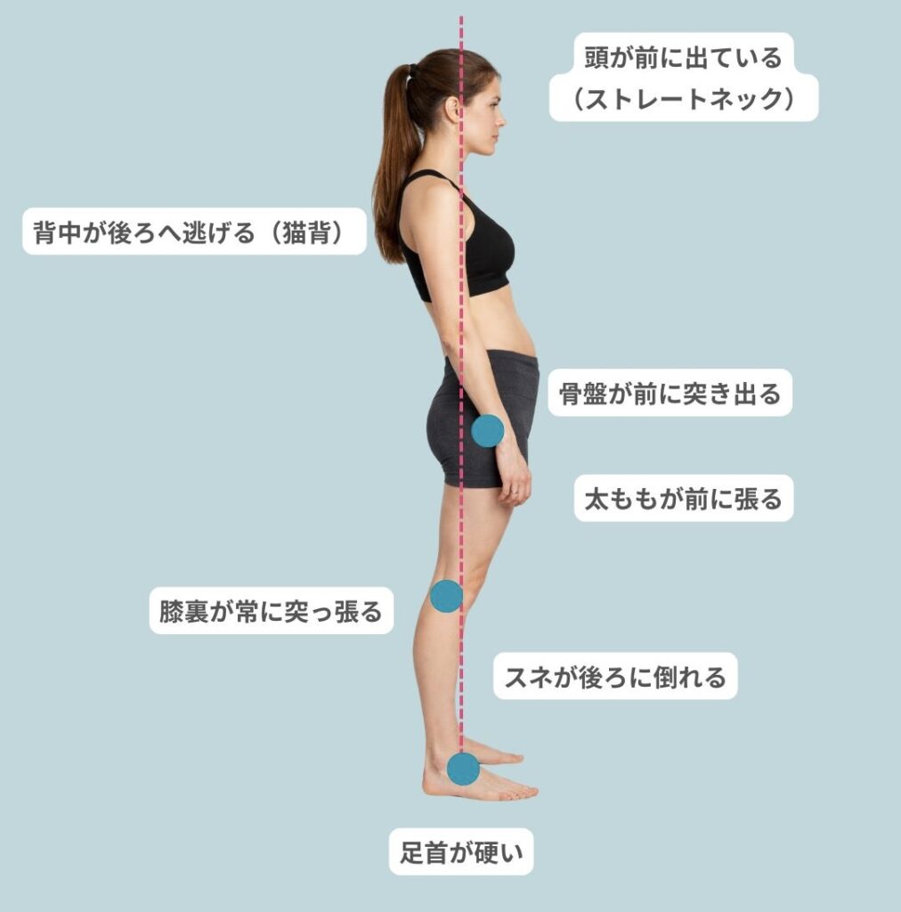 姿勢改善　三島ピラティス