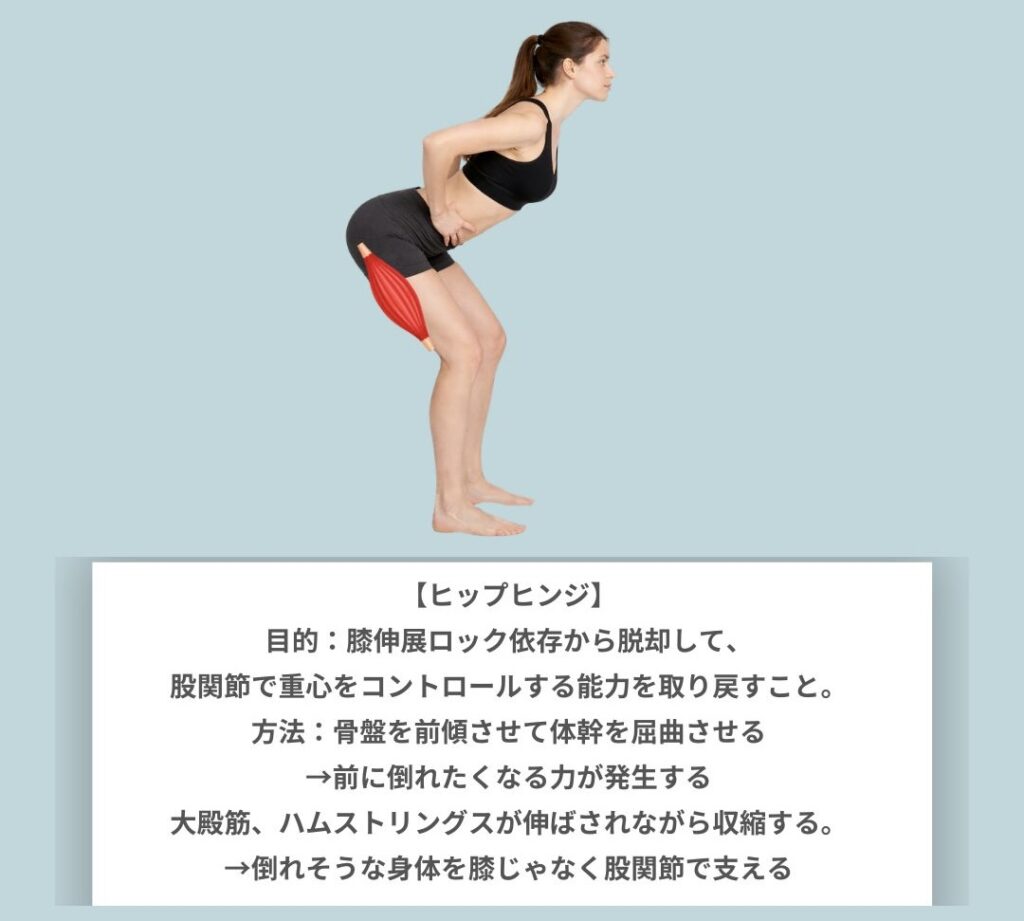 反張膝エクササイズ　ヒップヒンジ
