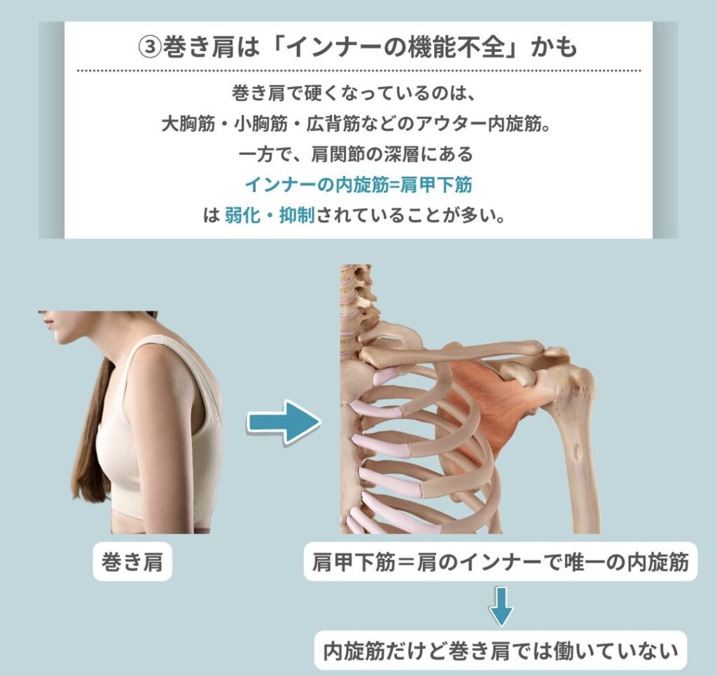 巻き肩は「インナーの機能不全」かもしれない